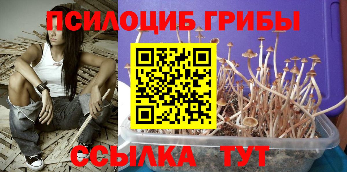 Галлюциногенные грибы ЛСД Мичуринск